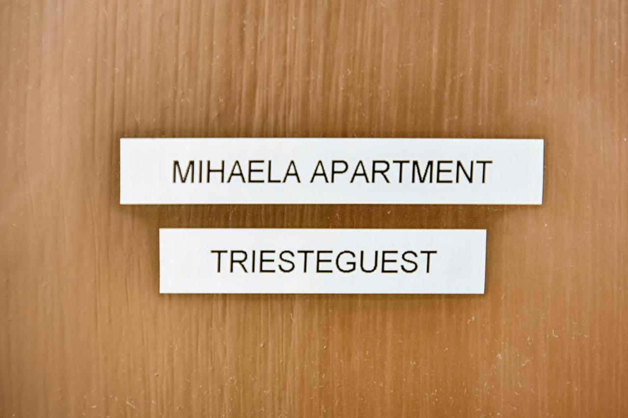 Mihaela Apartment - Charme Near The Station ตรีเอสเต ภายนอก รูปภาพ